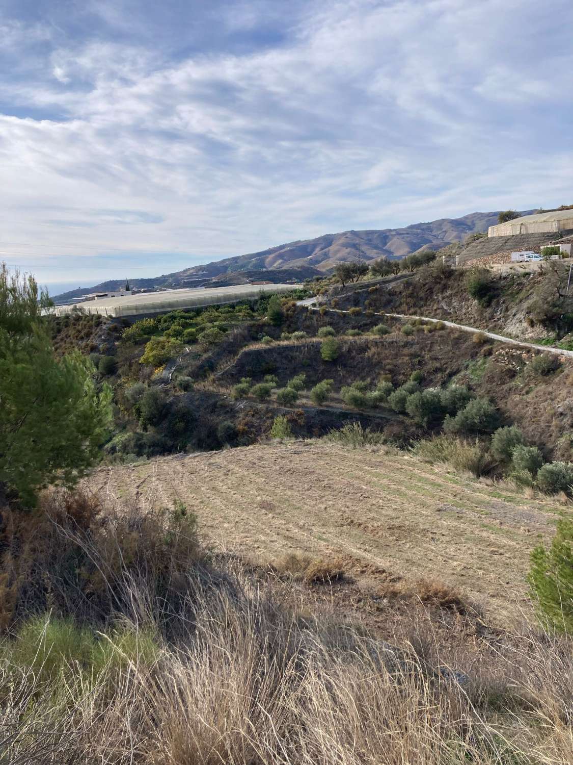 Se vende terreno para cultivo en Molvizar