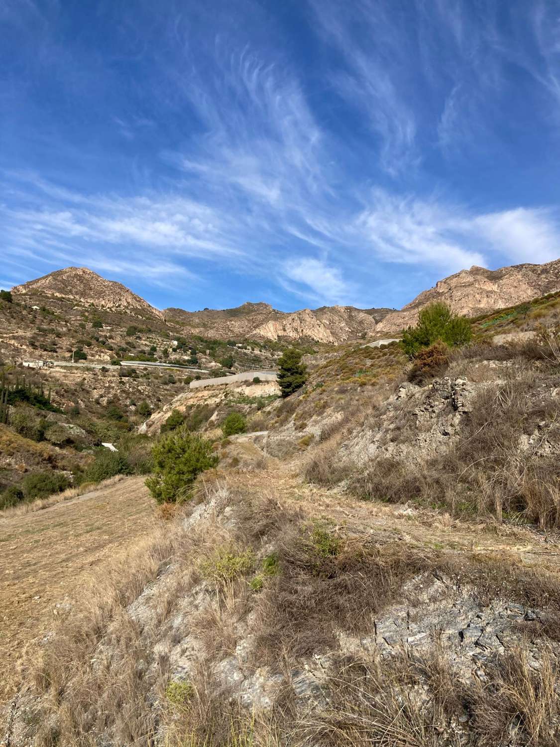 Terrain à vendre pour culture à Molvizar