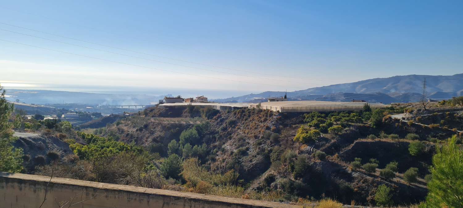 Terreno in vendita per la coltivazione a Molvizar