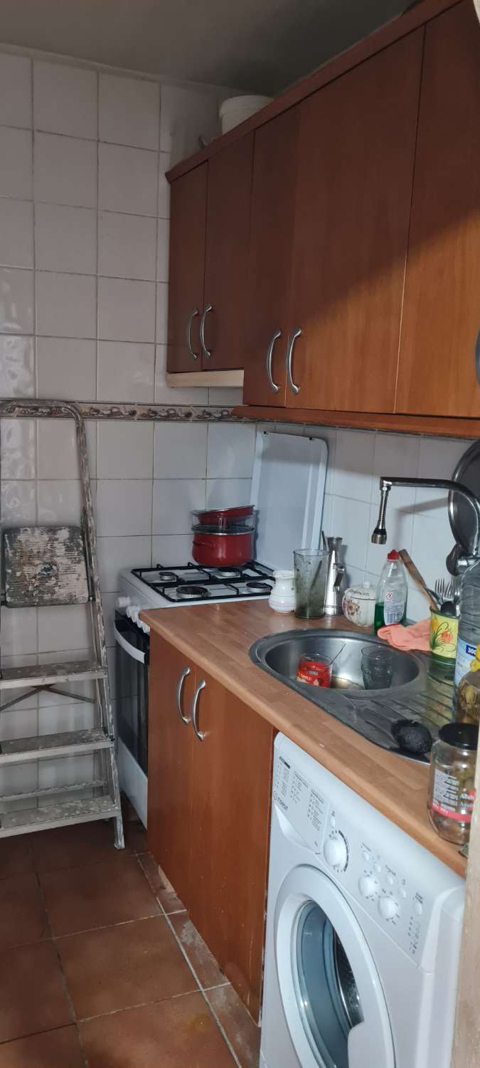 Продается фермерский дом с 25 000 м² авокадо