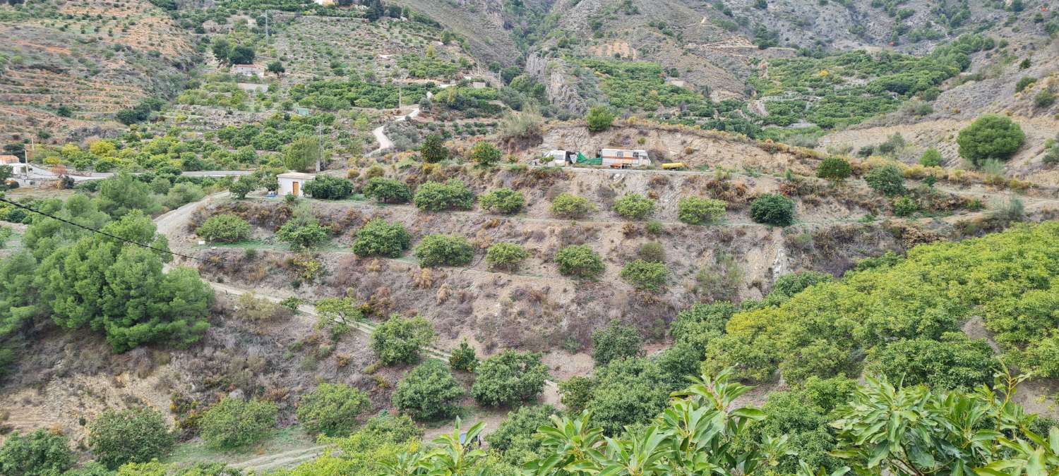 Farmhouse for sale with 25,000 m² of avocados