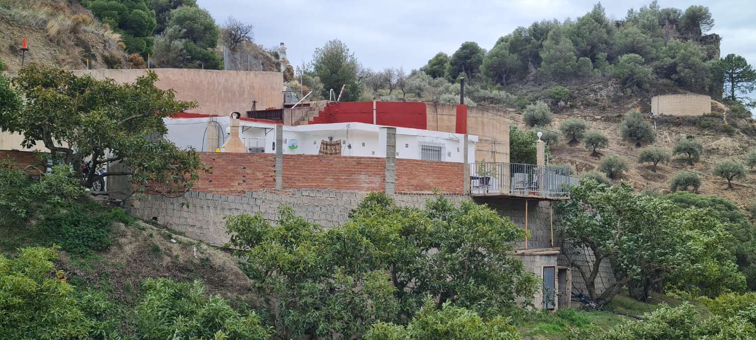 Farmhouse for sale with 25,000 m² of avocados