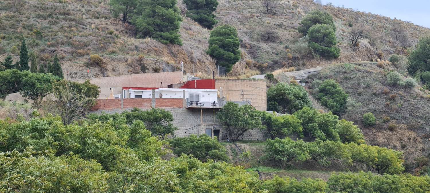 Se vende cortijo con 25000 m² de aguacates