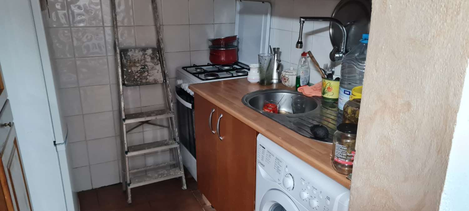 Продается фермерский дом с 25 000 м² авокадо