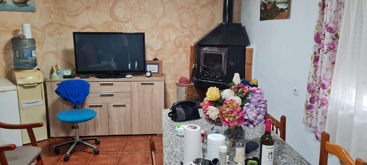 Продається фермерський будинок з 25 000 м² авокадо