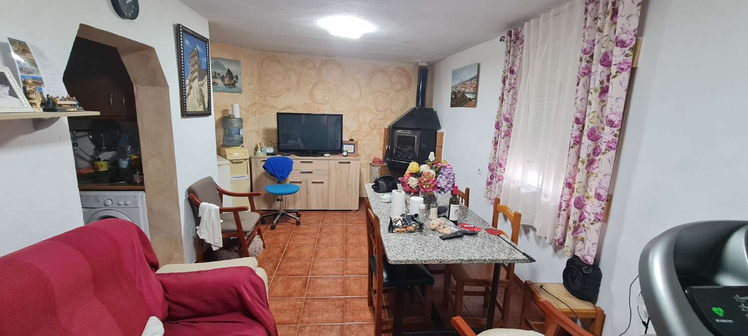 Продается фермерский дом с 25 000 м² авокадо