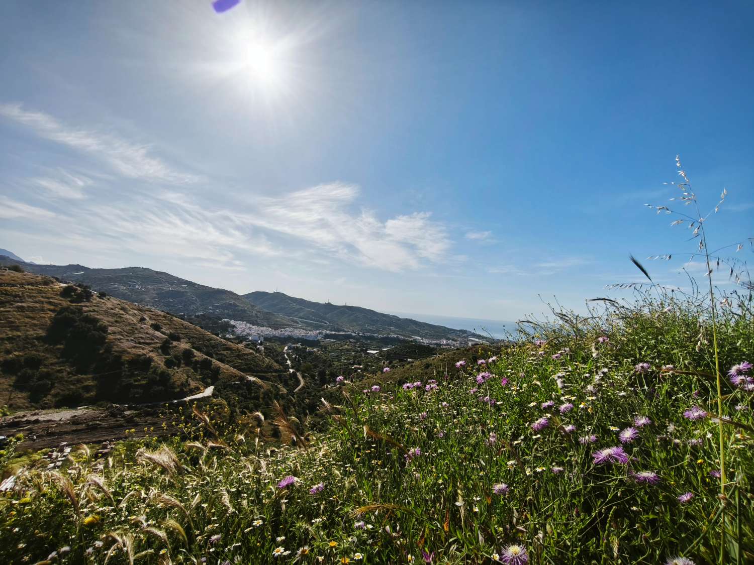 Terreni a Torrox-Malaga