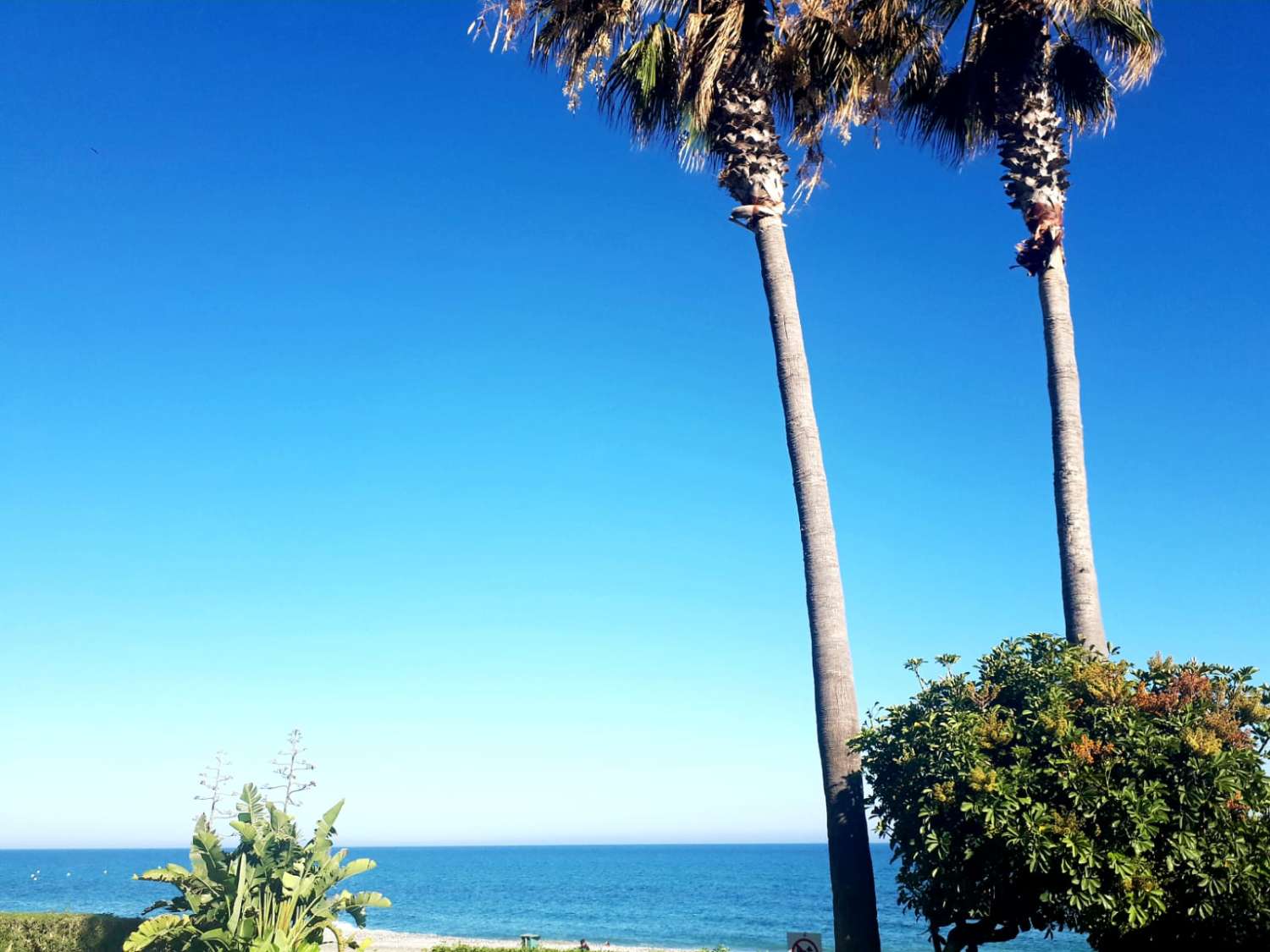 Byggnad i Conil de la Frontera