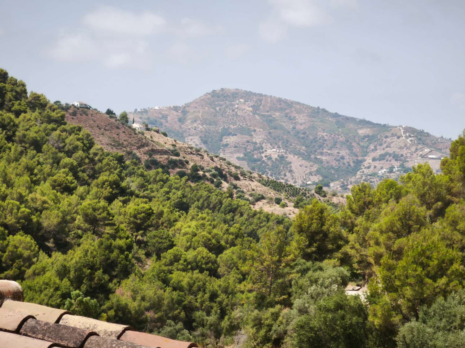 Casa Rural 9 dormitorios en Acebuchal - Frigiliana