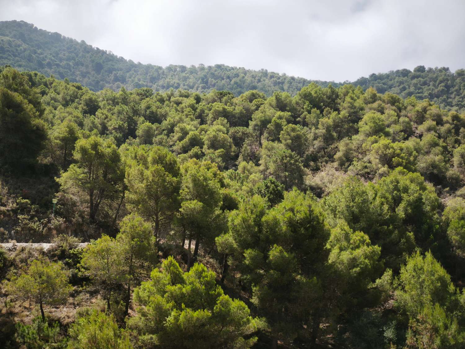 Casa Rural 9 dormitorios en Acebuchal - Frigiliana