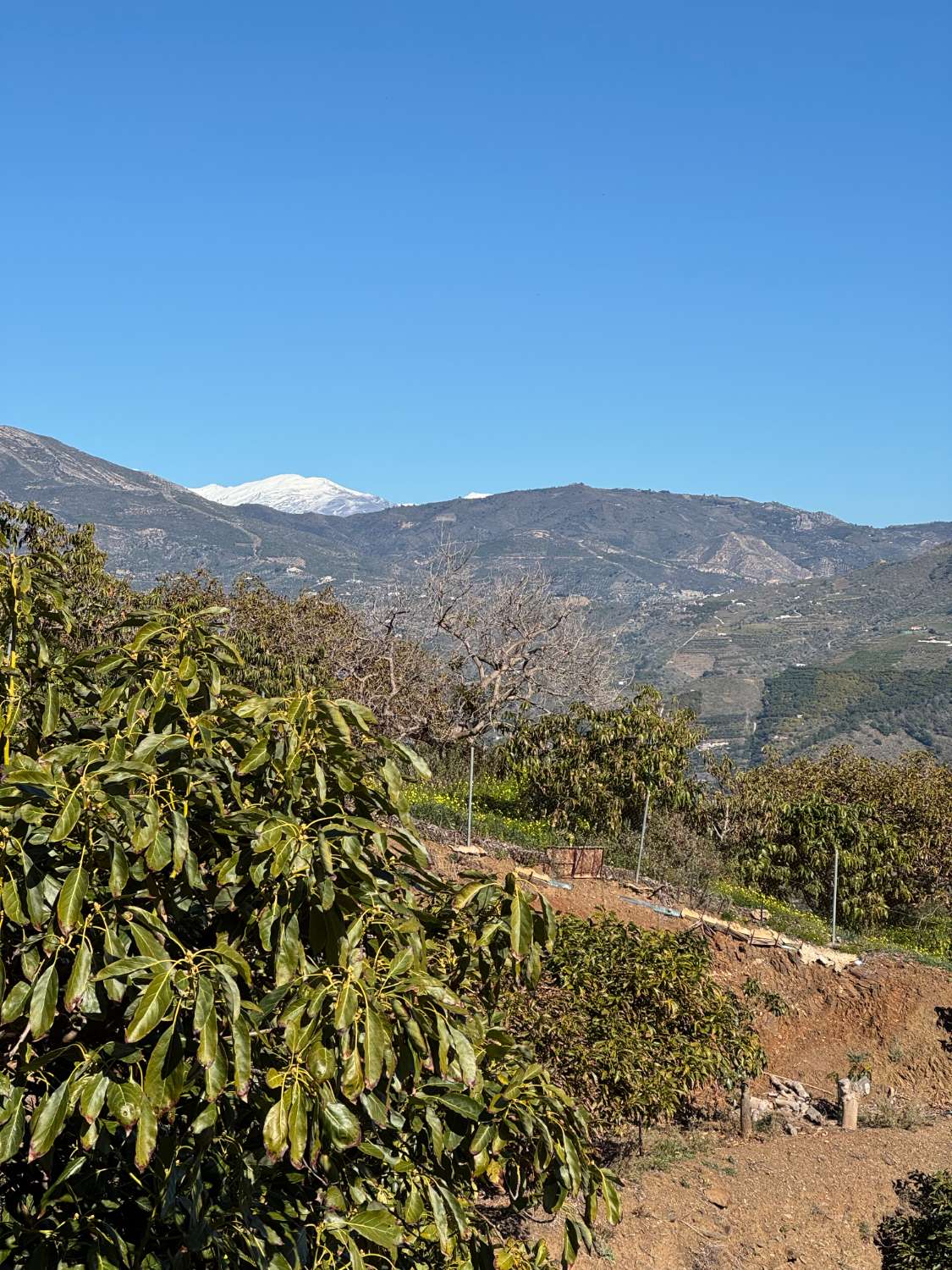 Casa colonica con vista mozzafiato