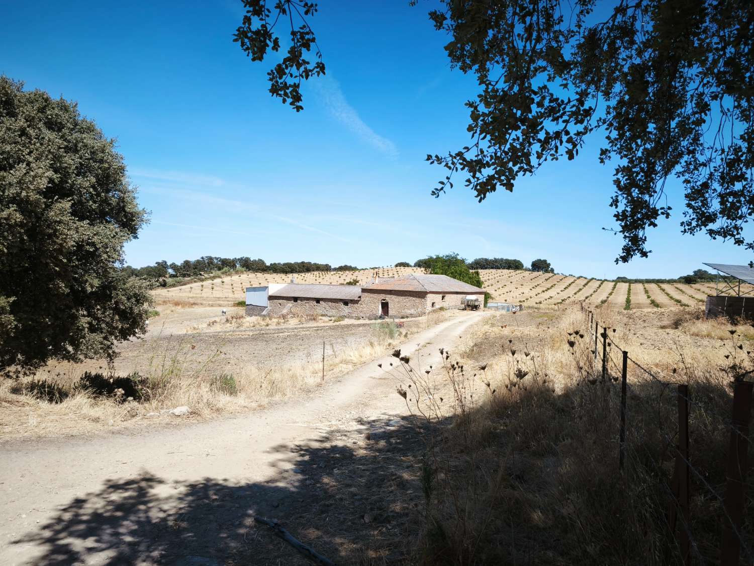 2 case coloniche (nuove e vecchie) e casa dei lavoratori su 33,75 ettari.