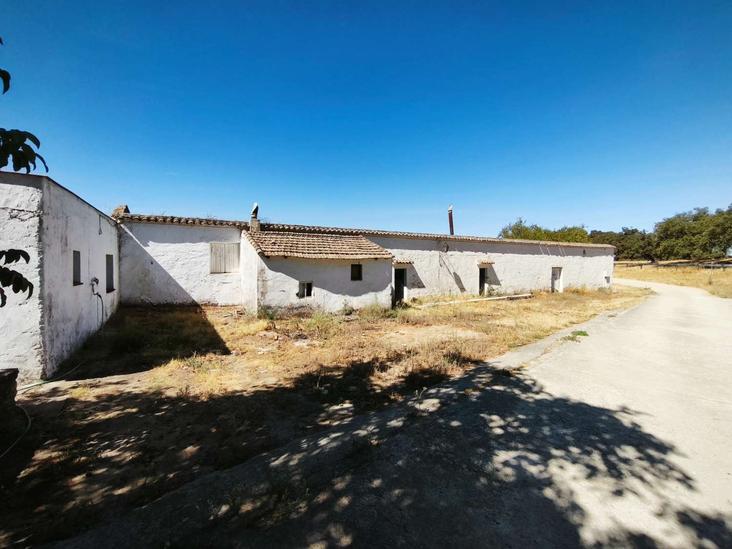2 case coloniche (nuove e vecchie) e casa dei lavoratori su 33,75 ettari.