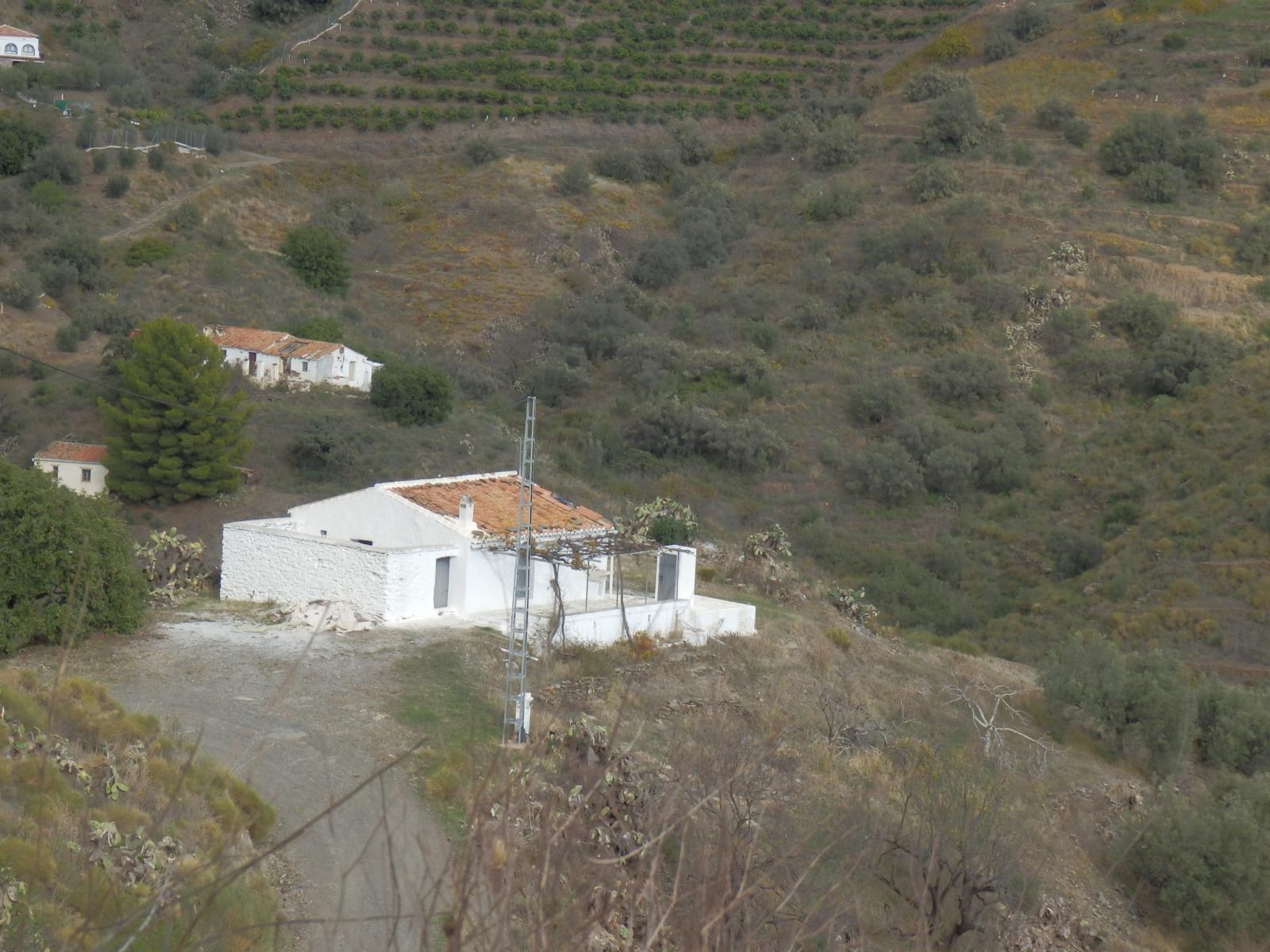 Cortijo en Torrox con 30.000 m2 de terreno en bancales