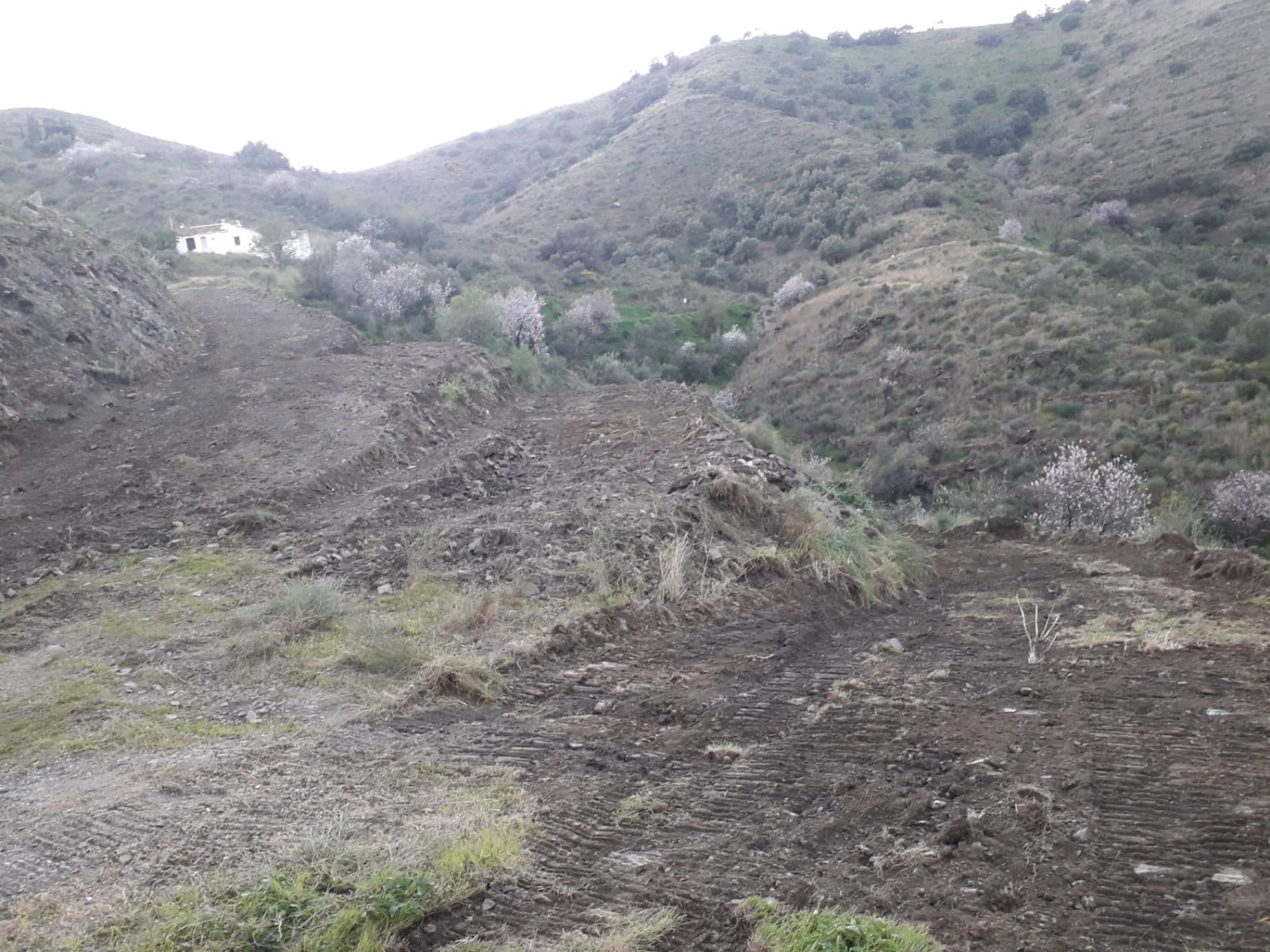 Cortijo en Torrox con 30.000 m2 de terreno en bancales