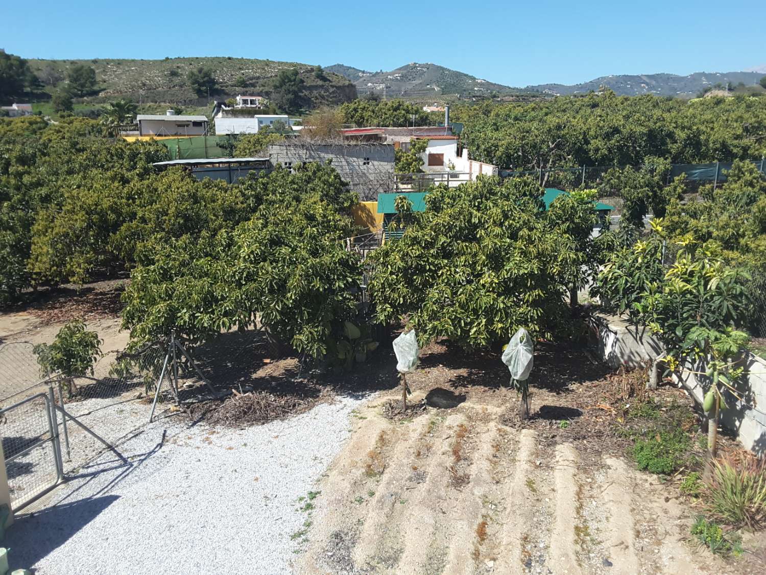 Vacker gård av fruktträd med cortijo med stall, ridarena och grill