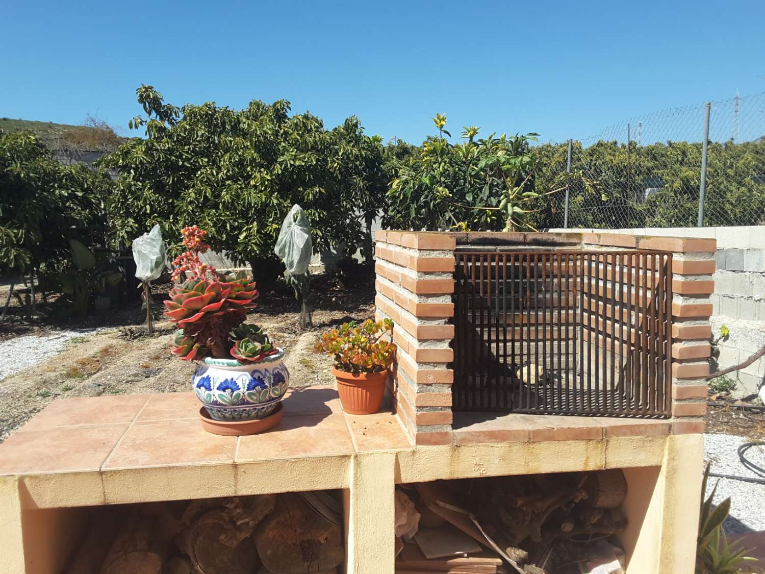 Beautiful farm of fruit trees with cortijo with stables, riding arena and barbecue